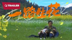 一路生花2025(全集)