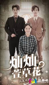 灿灿萱草花 第01集