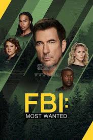 联邦调查局：通缉要犯 第六季 第17集