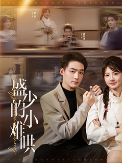 盛少的小难哄 第01-30集