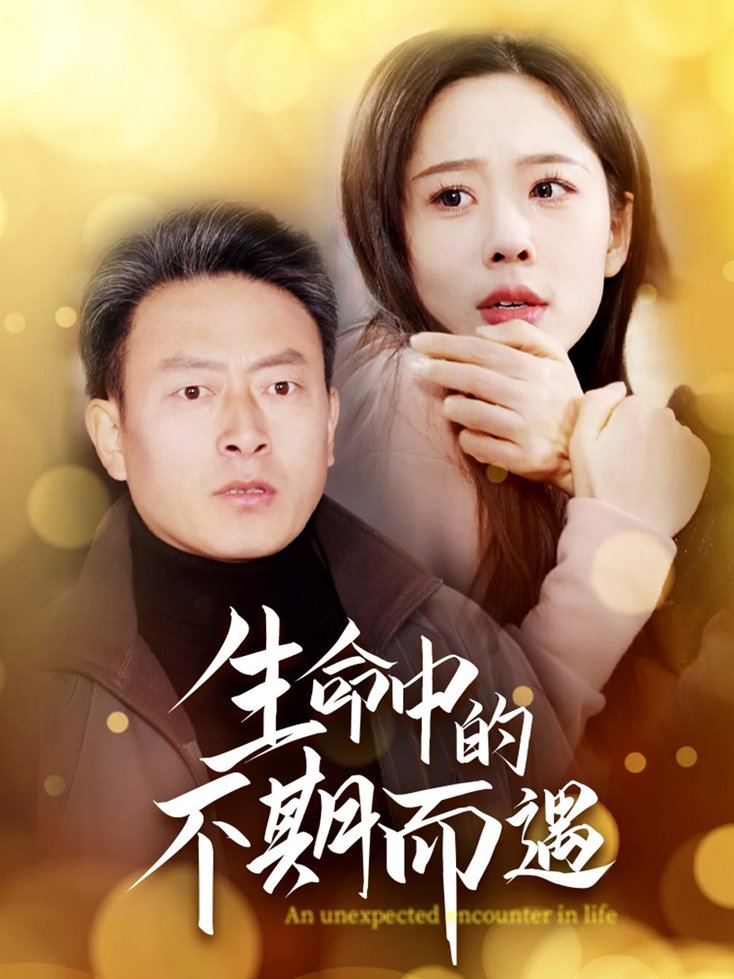 生命中的不期而遇 第01-35集(大结局)